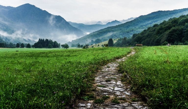 journey-featured-image