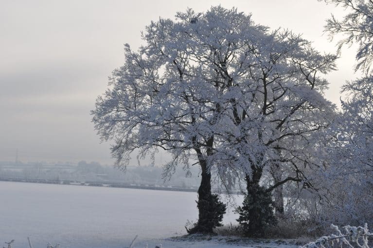 weather dec 2010  – 55